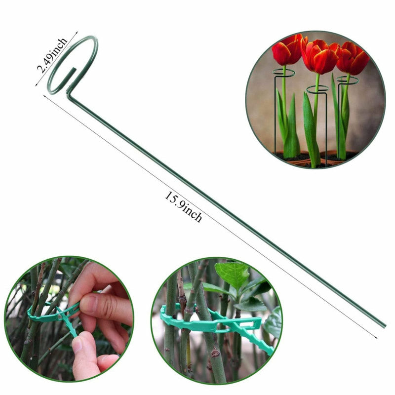 Buy Dura Metal Plant Stake - Set Of Five Garden Accessories from Vaaree