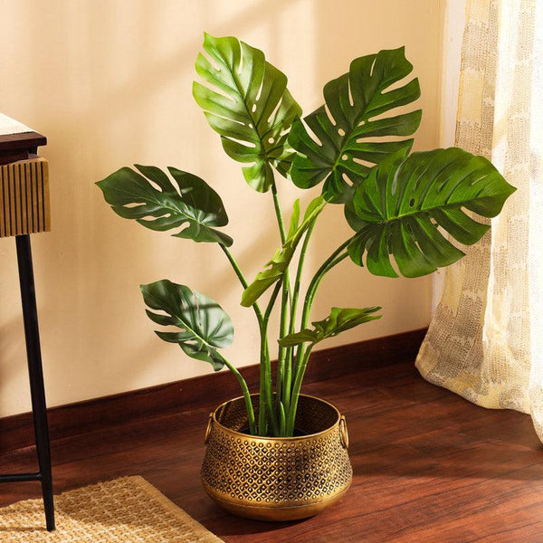 Buy Faux Realistic Monstera Plant With Black Pot - 3 Feet Artificial Plants from Vaaree