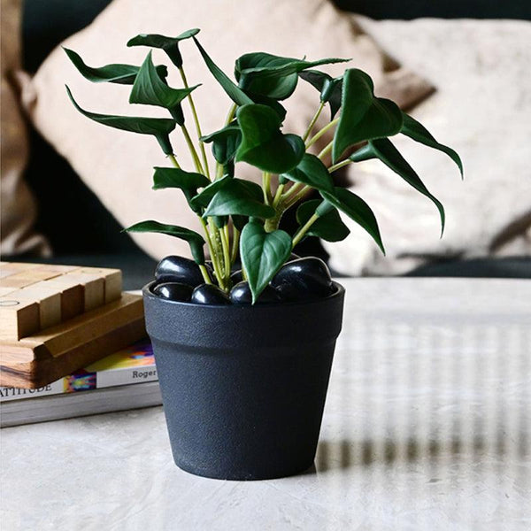 Buy Moniva Artificial Pothos/Money Plant With Basic Pot - Dark Green Artificial Plants from Vaaree