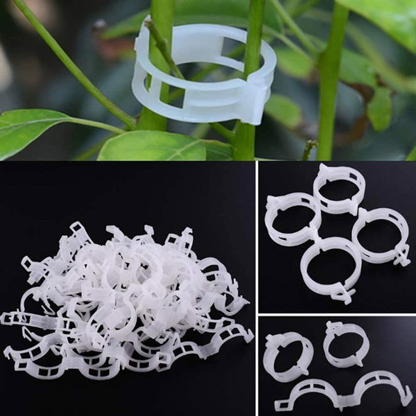 Buy Plant Pro Garden Clip (White) - Set Of Hundred Garden Accessories from Vaaree