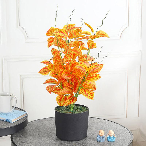 Buy Petal Glow Artificial Plant With Pot Artificial Plants from Vaaree