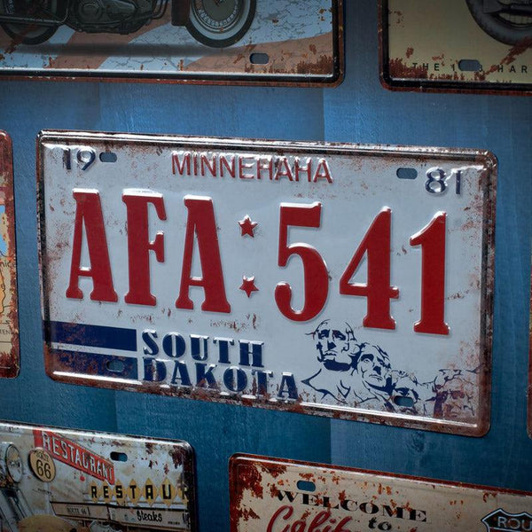 Buy South Dakota Afa:541 Wall Accent Wall Accents from Vaaree