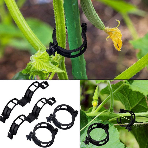 Buy Plant Pro Garden Clip (Black) - Set Of Two Hundred Garden Accessories from Vaaree