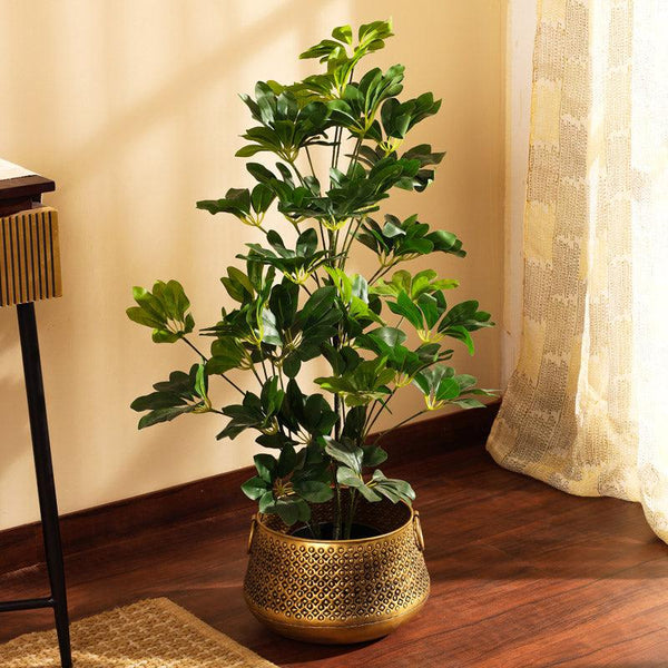 Buy Faux Realistic Schefflera Plant With Pot - 3 Feet Artificial Plants from Vaaree