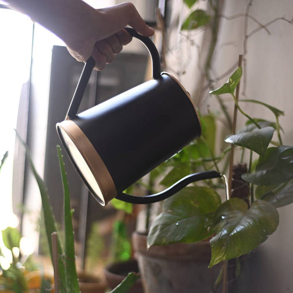 Buy Edana Watering Can - Black Garden Accessories from Vaaree