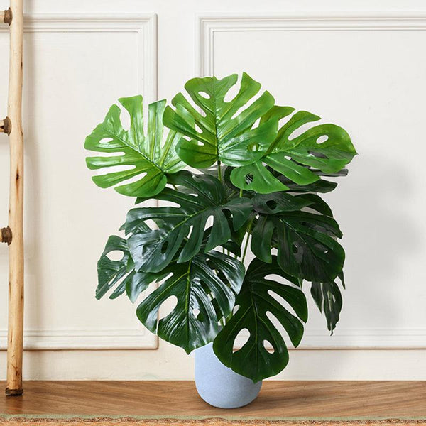 Buy Faux Everlasting Deliciosa Monstera Plant With Pot - 2.0 Feet Artificial Plants from Vaaree