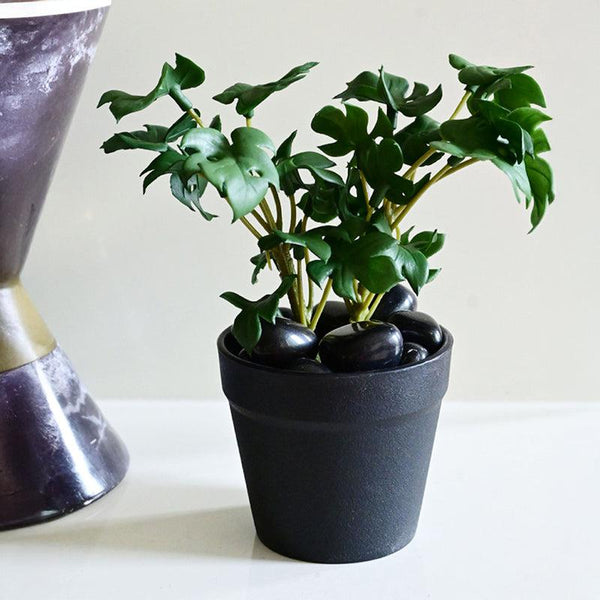 Buy Minstera Artificial Mini Monstera Plant With Basic Pot - Dark Green Artificial Plants from Vaaree