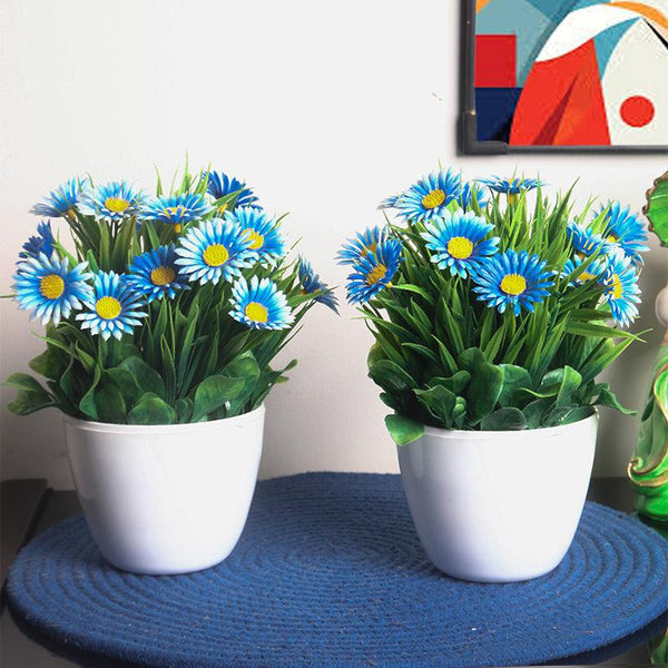 Buy Faux Blue Daisy Plant With Pot - Set Of Two Artificial Plants from Vaaree