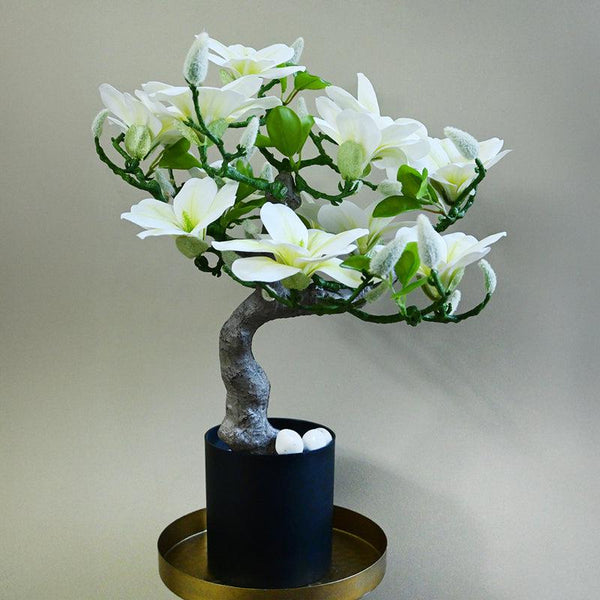 Buy Magnira Artificial Mini Magnolia Tree With Pot - White & Green Artificial Plants from Vaaree