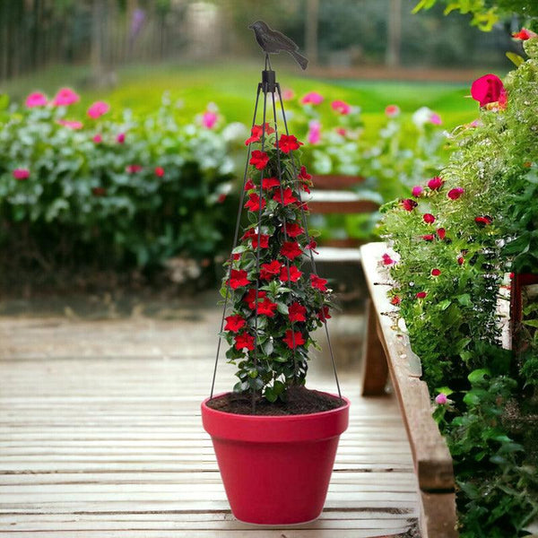 Buy Tripo Metal Plant Stake Garden Accessories from Vaaree