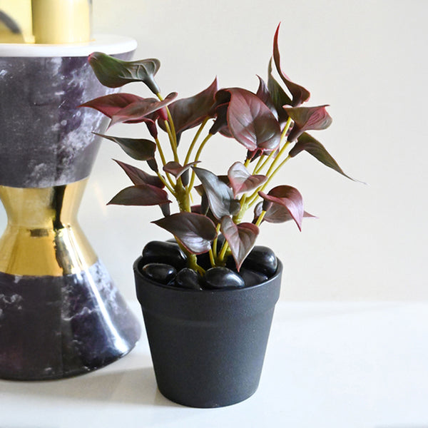 Buy Moniva Artificial Pothos/Money Plant With Basic Pot - Purple Artificial Plants from Vaaree