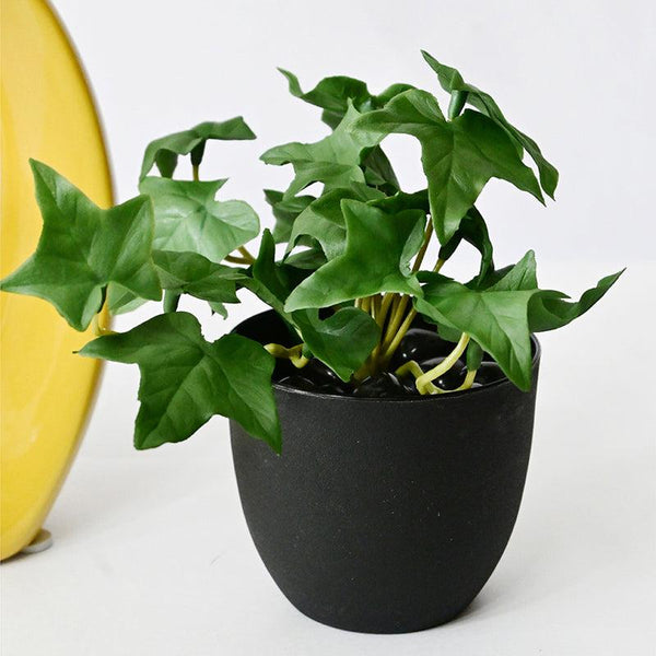 Buy Ivella Artificial Mini Ivy Plant With Basic Pot - Dark Green Artificial Plants from Vaaree