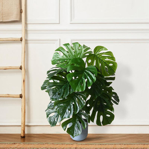 Buy Faux Everlasting Monstera Plant With Pot - 2.6 Feet Artificial Plants from Vaaree