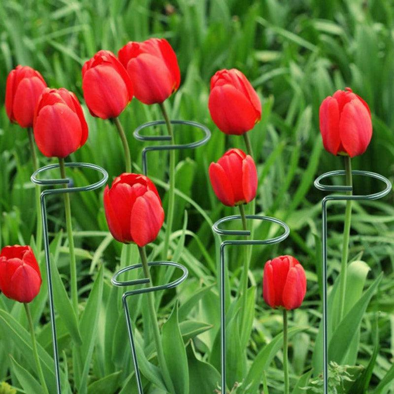 Buy Dura Metal Plant Stake - Set Of Five Garden Accessories from Vaaree