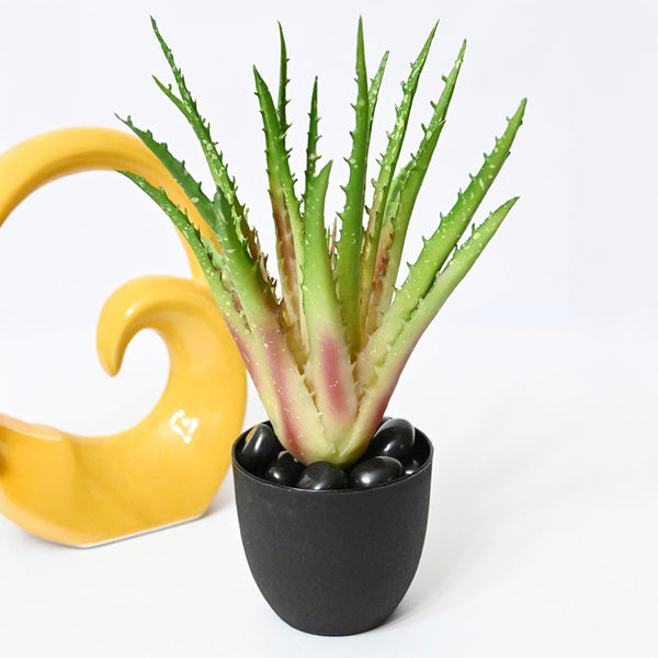 Buy Aloira Artificial Aloe Vera Plant With Pot Artificial Plants from Vaaree