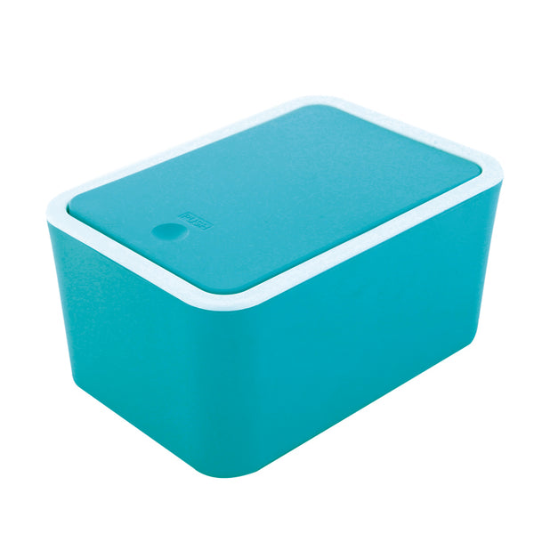 Buy Mille Storage Box (250 ml) - Blue Storage Basket from Vaaree