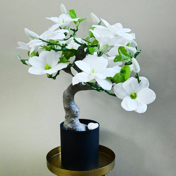 Buy Magnira Artificial Mini Magnolia Tree With Pot - White Artificial Plants from Vaaree