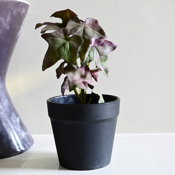 Buy Ivette Artificial Mini Ivy Plant With Basic Pot - Purple Artificial Plants from Vaaree