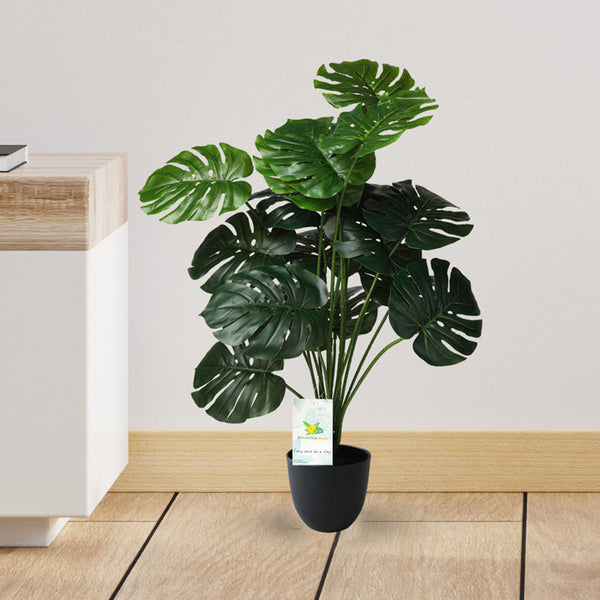 Buy Faux Everlasting Monstera Plant With Pot - 2.5 Feet Artificial Plants from Vaaree