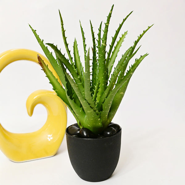 Buy Aloira Artificial Aloe Vera Plant With Pot - Green Artificial Plants from Vaaree