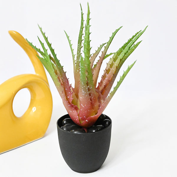 Buy Aloira Artificial Aloe Vera Plant With Pot - Pink & Green Artificial Plants from Vaaree