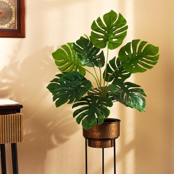 Buy Faux Realistic Monstera With Black Pot- Green Artificial Plants from Vaaree