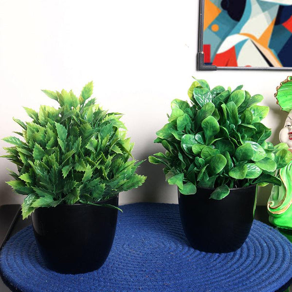 Buy Faux Shamrock Leaf Plant With Pot - Set Of Two Artificial Plants from Vaaree