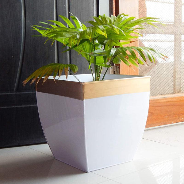 Buy Yula Goldo Planter (White) - Set Of Two Pots & Planters from Vaaree