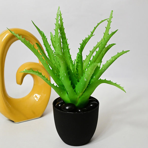 Buy Aloira Artificial Aloe Vera Plant With Pot - Light Green Artificial Plants from Vaaree