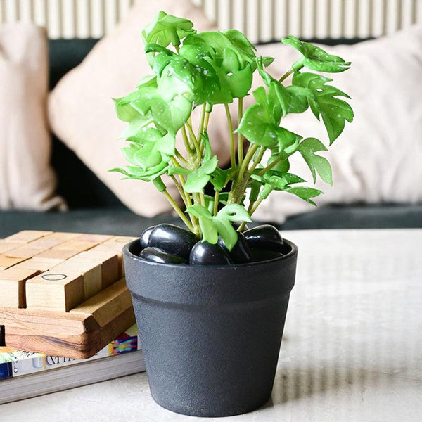 Buy Minstera Artificial Mini Monstera Plant With Basic Pot - Light Green Artificial Plants from Vaaree