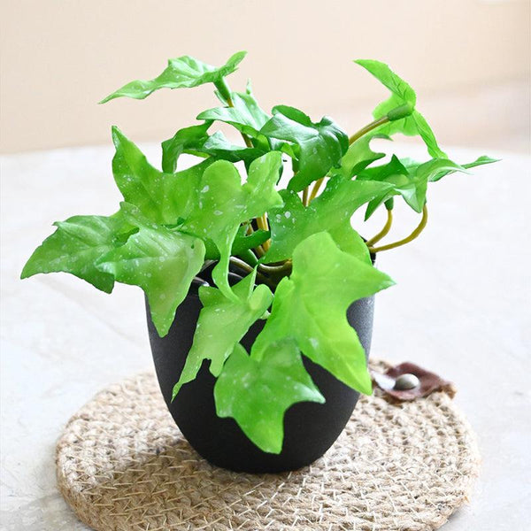 Buy Ivella Artificial Mini Ivy Plant With Basic Pot - Light Green Artificial Plants from Vaaree