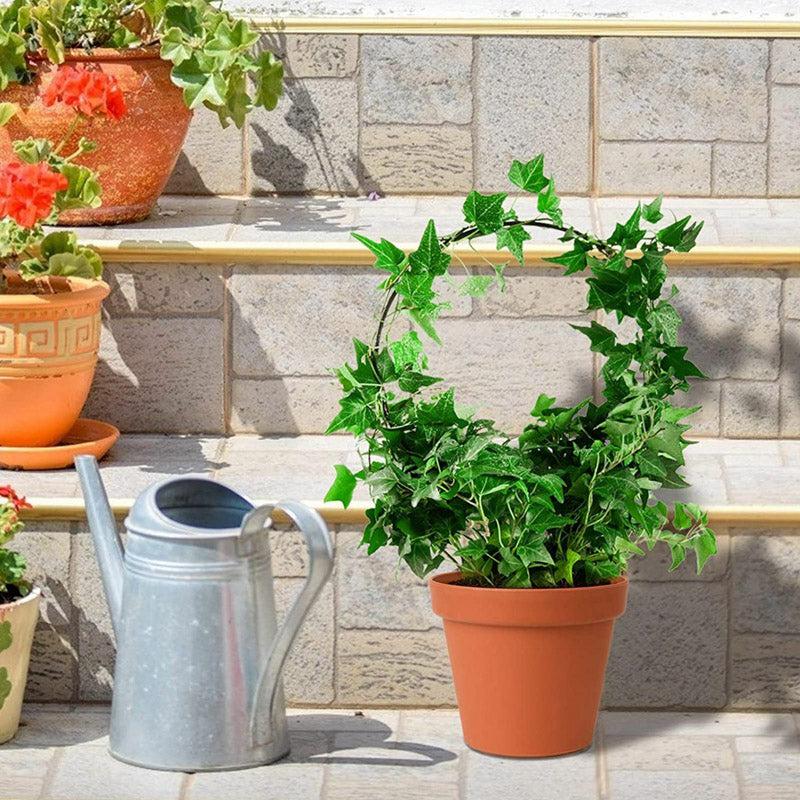 Buy Loop Metal Plant Trellis - Set Of Two Garden Accessories from Vaaree