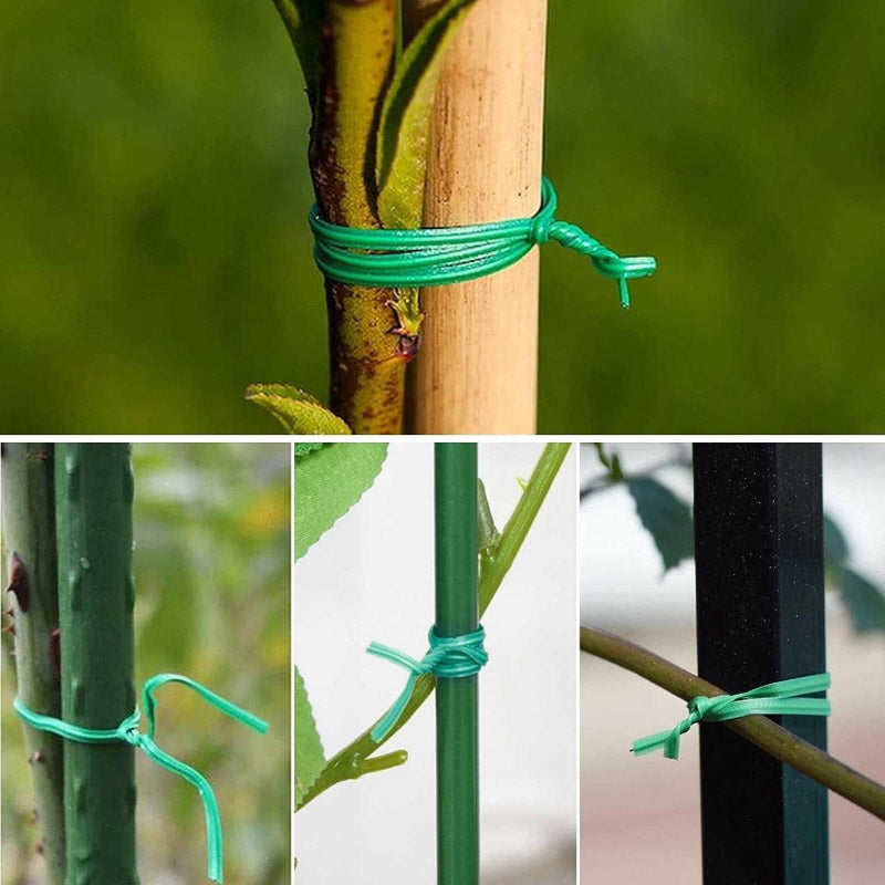 Buy Natura Plant Wire Garden Accessories from Vaaree