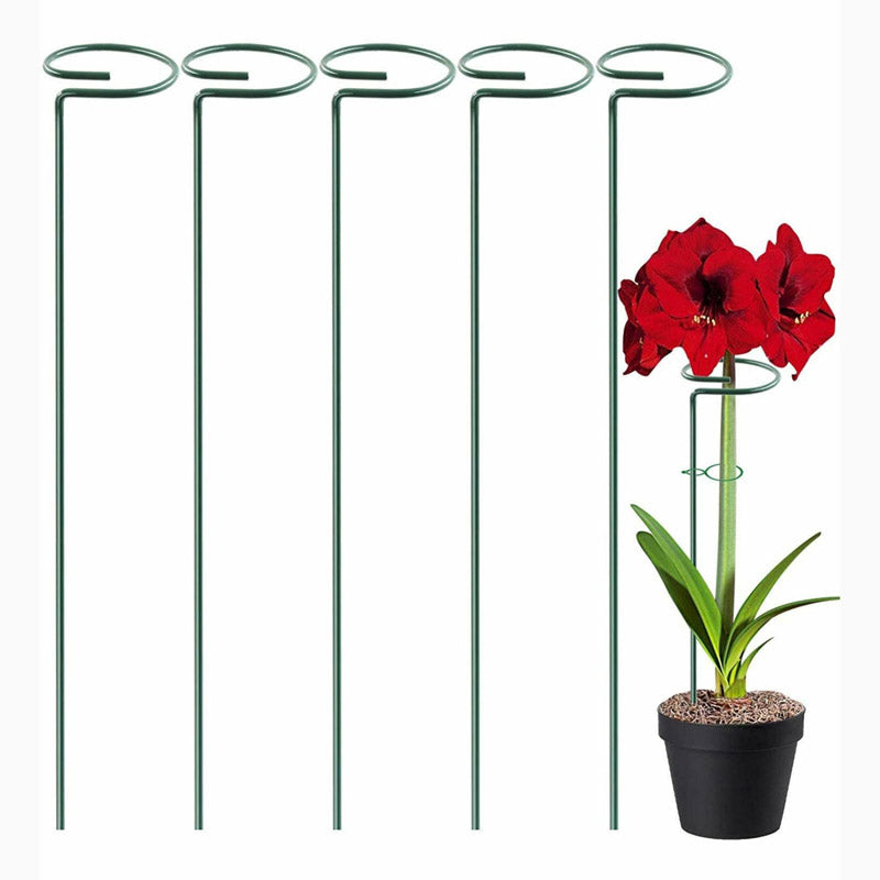 Buy Dura Metal Plant Stake - Set Of Five Garden Accessories from Vaaree