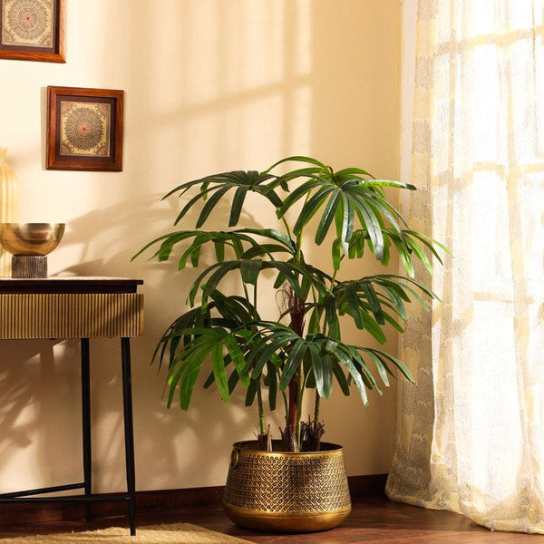 Buy Faux Realistic Rhapis Palm Tree With Pot - 4.9 Feet Artificial Plants from Vaaree