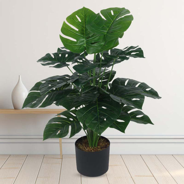 Buy Faux Lush Delisocia Monstera Plant With Pot - 2.6 Feet Artificial Plants from Vaaree