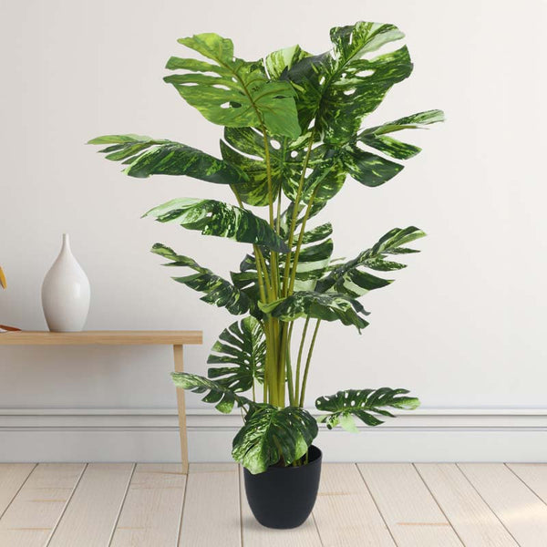 Buy Faux Lush Variegated Monstera Plant With Pot - 4 Feet Artificial Plants from Vaaree