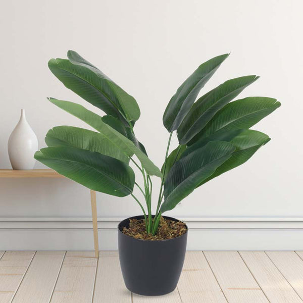 Buy Faux Lush Bird of Paradise Plant With Pot - 1.5 Feet Artificial Plants from Vaaree