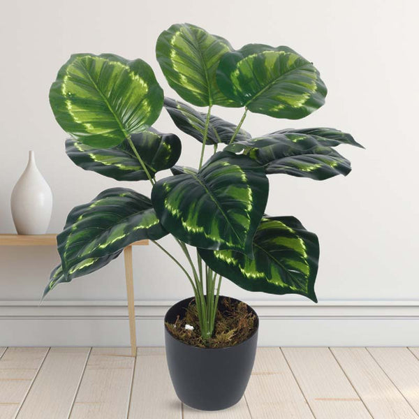 Buy Faux Lush Krasten Monstera Plant With Pot - 1.8 Feet Artificial Plants from Vaaree