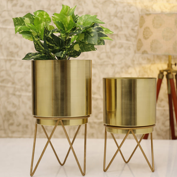 Buy Teodora Planter (Gold) - Set Of Two Pots & Planters from Vaaree