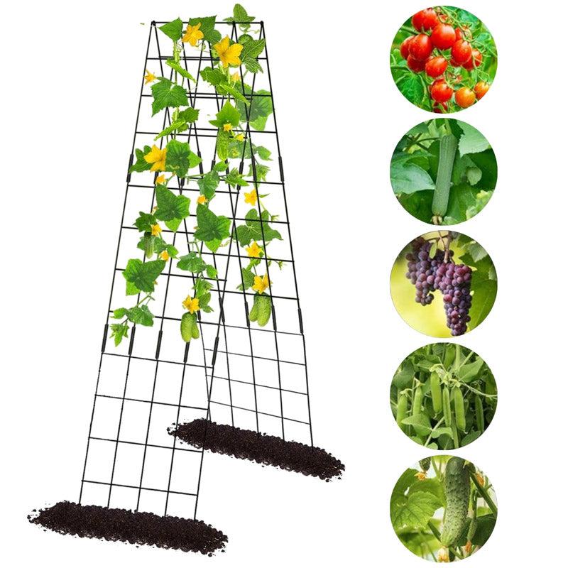 Buy Clima Metal Plant Stakes Garden Accessories from Vaaree