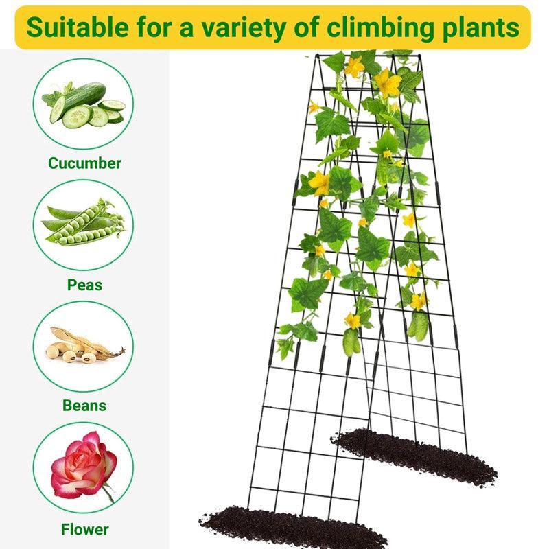 Buy Clima Metal Plant Stakes Garden Accessories from Vaaree