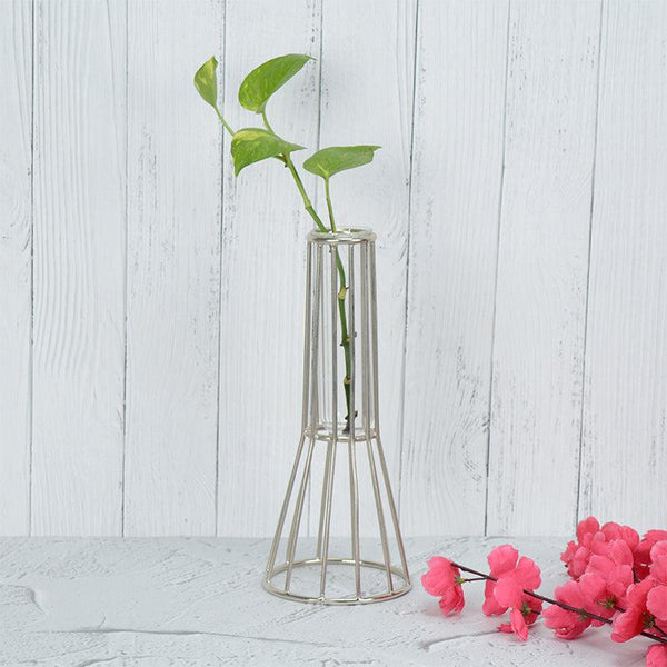 Buy Iara Test Tube Planter - Silver Vase from Vaaree