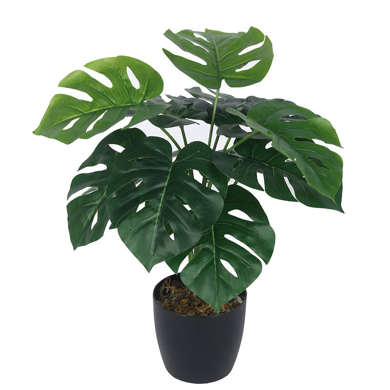 Buy Faux Multicolor Monstera Silk Plant With Pot - 55 cms Artificial Plants from Vaaree