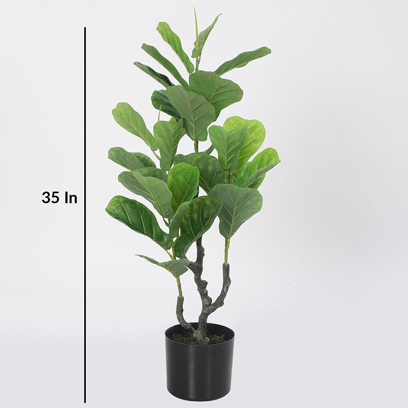 Buy Faux Fiddle Fig Plant With Pot - 2.9 Feet Artificial Plants from Vaaree