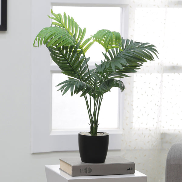 Buy Faux Dypsis Baronii Corton Plant With Pot - 55 Cms Artificial Plants from Vaaree