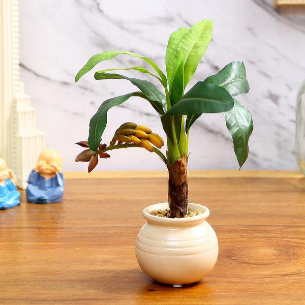 Buy Faux Banana Bonsai In Ceramic Pot (24 cms) - Small Artificial Plants from Vaaree