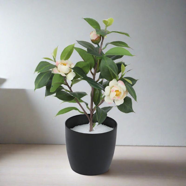 Buy Faux Camelia Rose Plant With Pot (34 cms) - Off White Artificial Plants from Vaaree