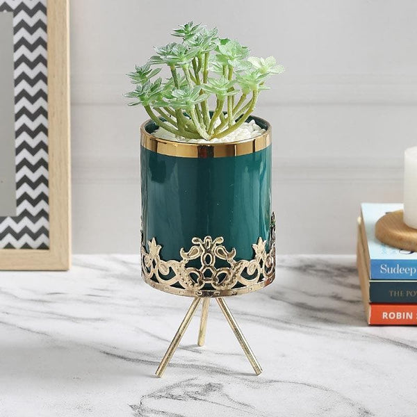 Buy Faux Crassula In Blue Ceramic Pot - 20 cms Artificial Plants from Vaaree