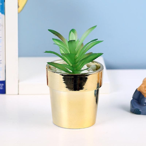 Buy Faux Crassula In Ceramic Pot - 13.5 cms Artificial Plants from Vaaree